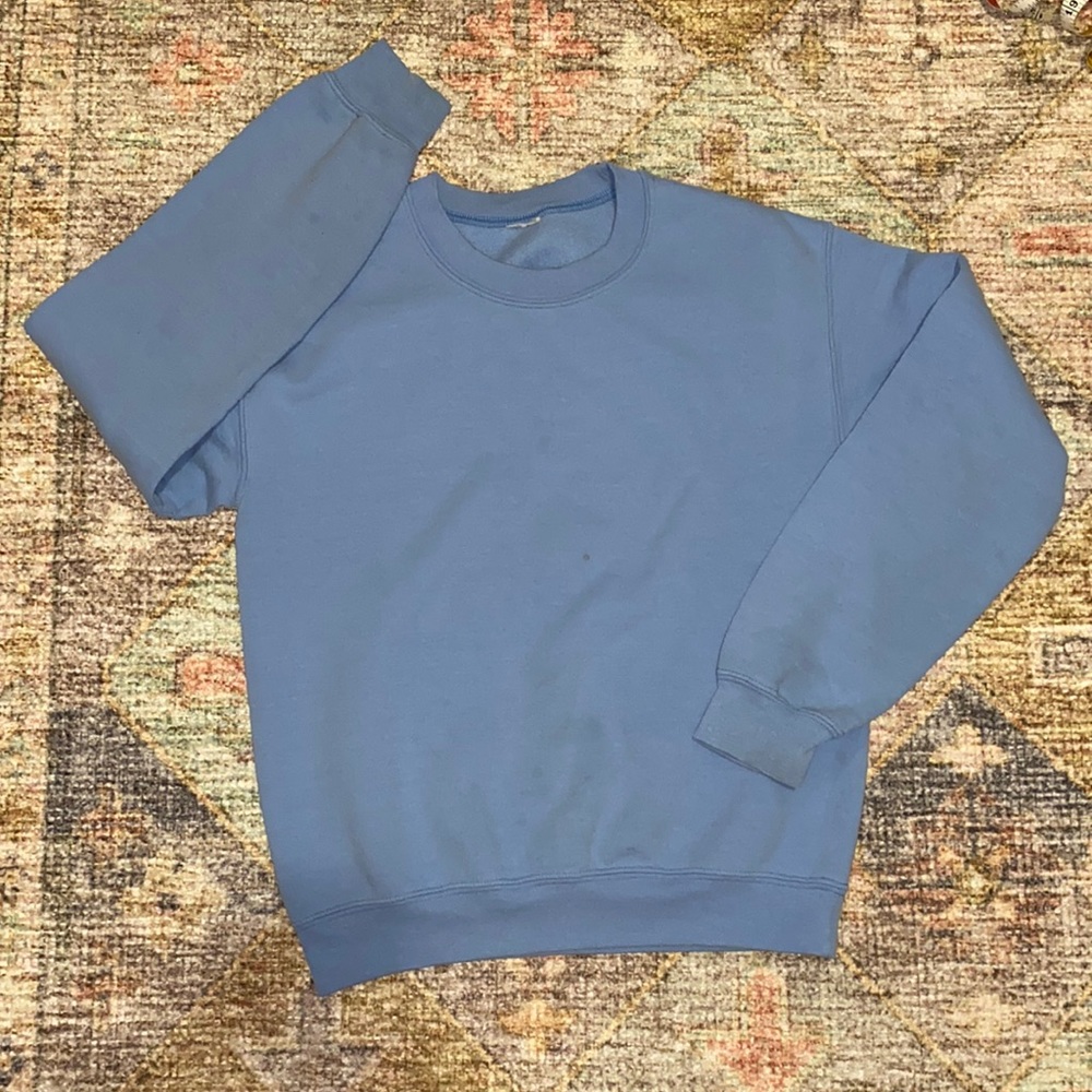 Blue Brandy Melville Crewneck